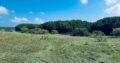 1.5 acre Lagoon Front
