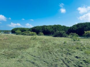 1.5 acre Lagoon Front