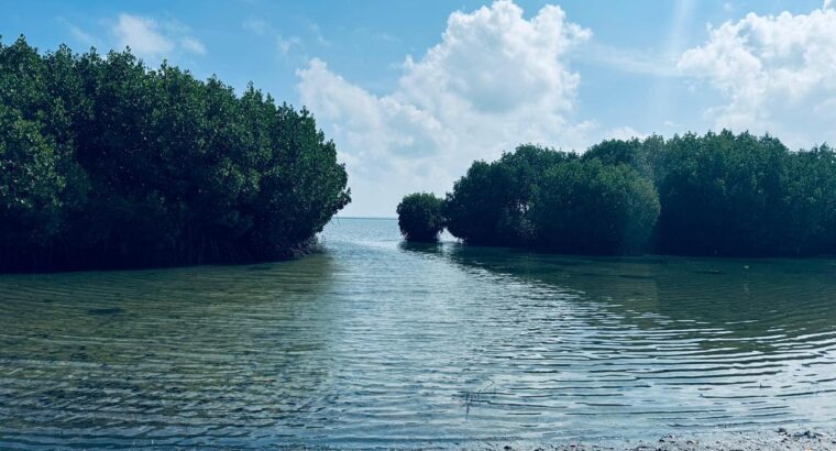 1.5 acre Lagoon Front
