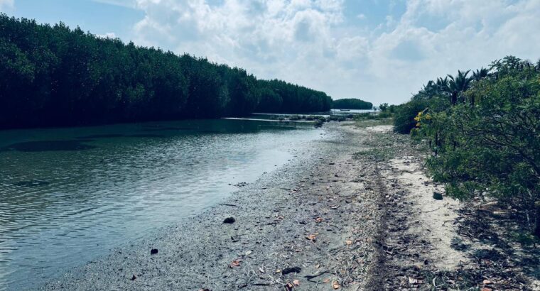 1.5 acre Lagoon Front