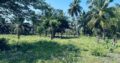1.5 acre Lagoon Front