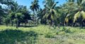 1.5 acre Lagoon Front