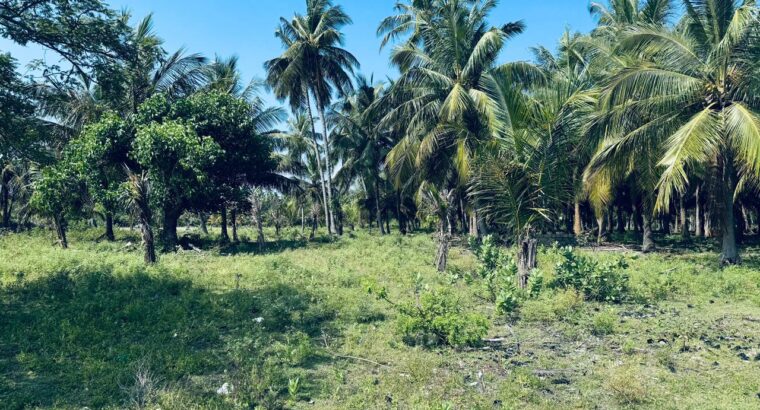 1.5 acre Lagoon Front