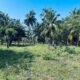 1.5 acre Lagoon Front